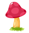 Ein kleiner roter Pilz.